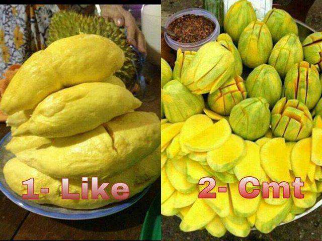 Trùm ăn uống 12 Cung Hoàng Đạo